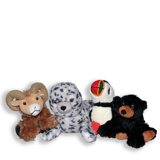 Stuffed Animals - Multiple Courses