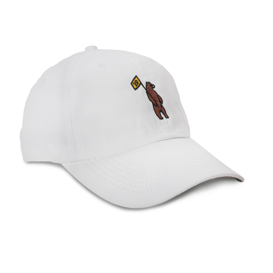 Performance Hat X210P - Shorty's