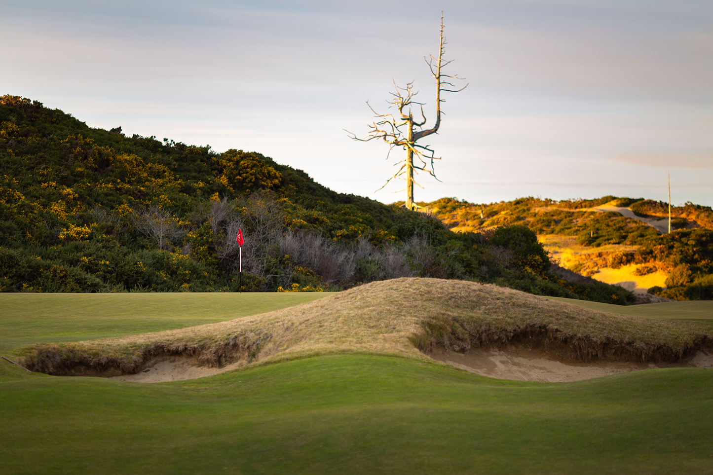 Example photo for a puzzle with Old Macdonald hole 1 with the Ghost Tree in the background