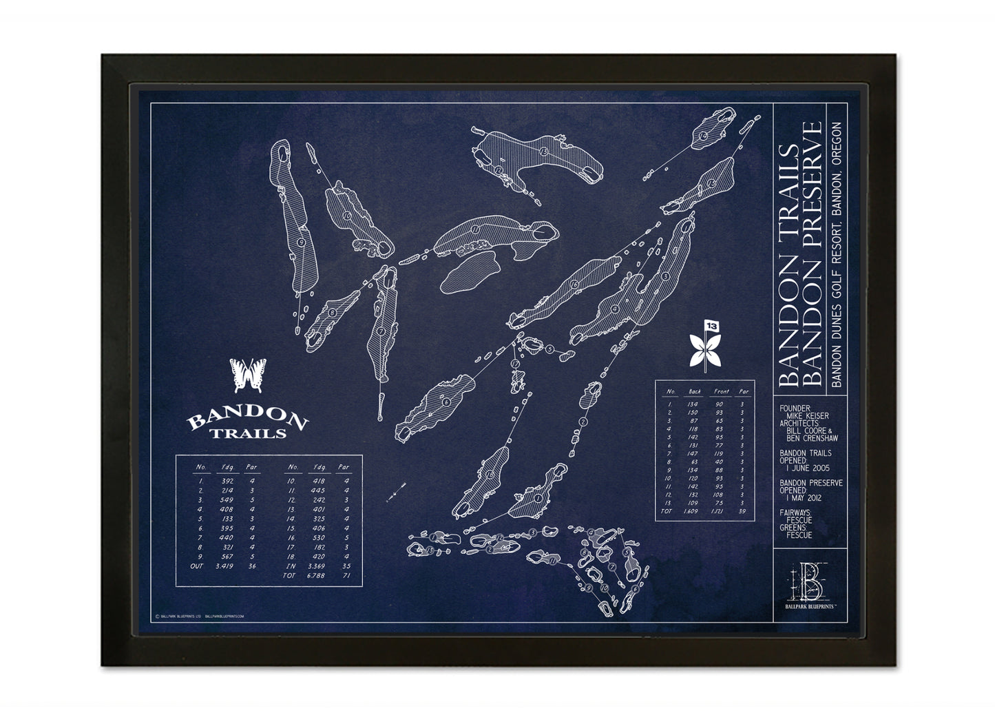 Ballpark Blueprint- Framed Canvas