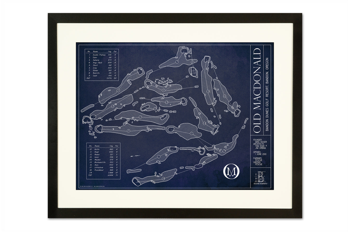 Ballpark Blueprint - Framed Print