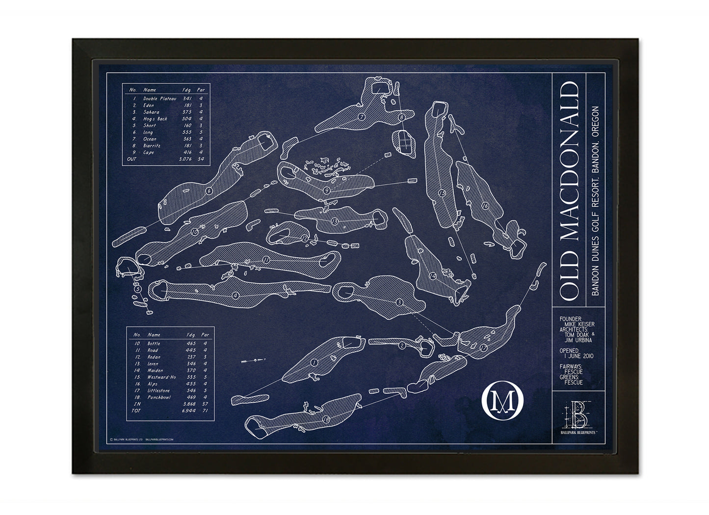 Ballpark Blueprint- Framed Canvas