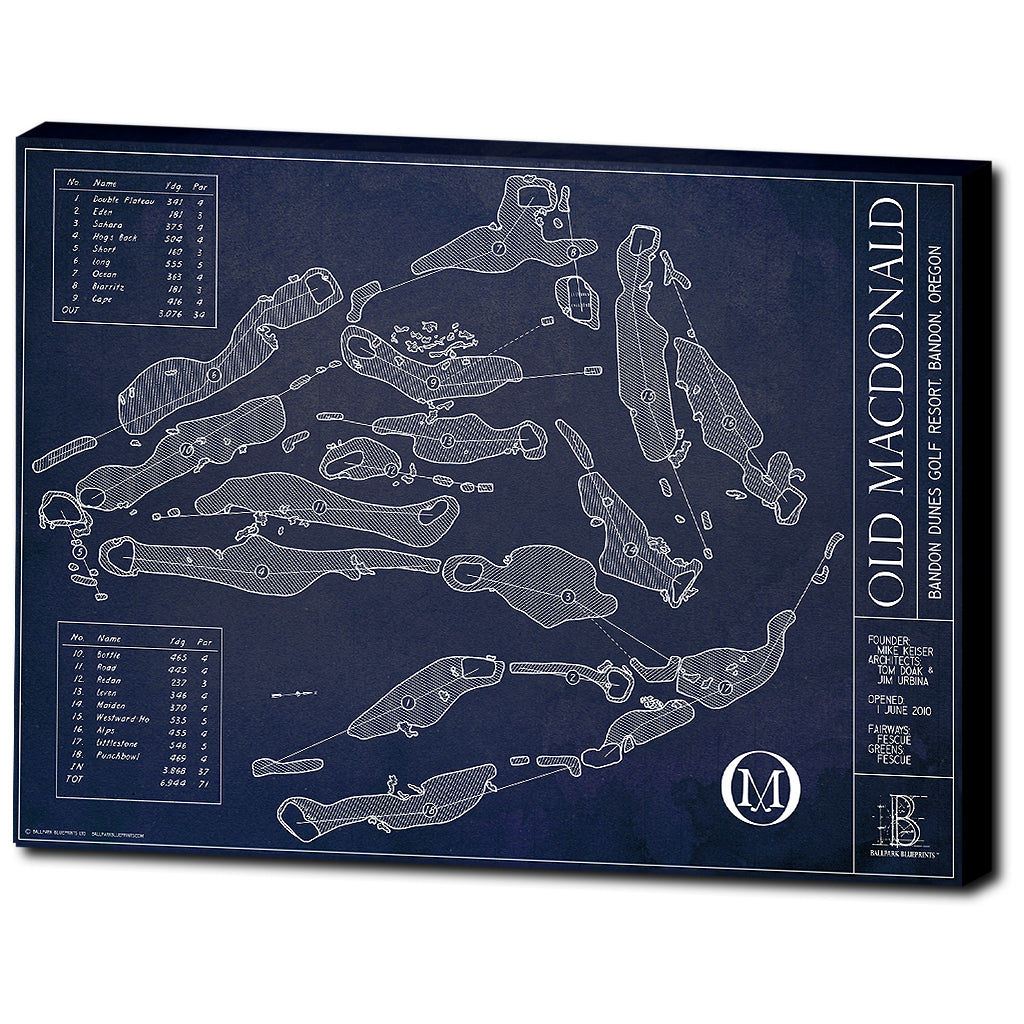 Ballpark Blueprint - Canvas