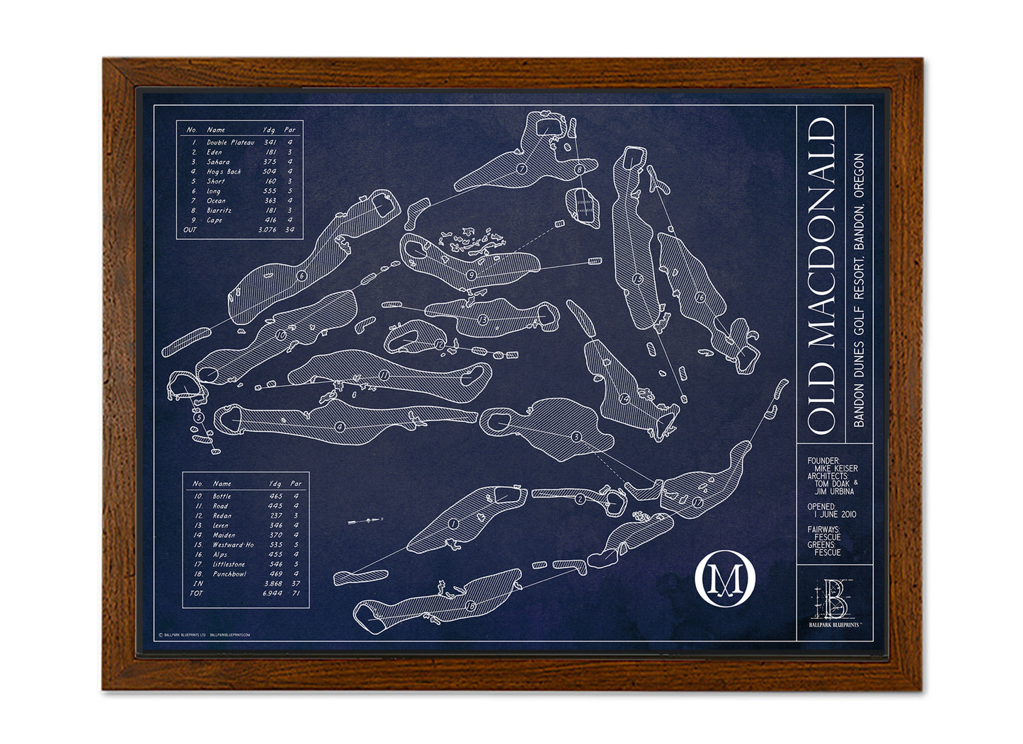 Ballpark Blueprint- Framed Canvas