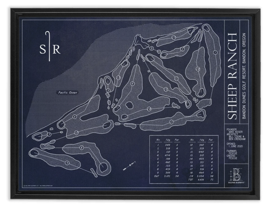 Ballpark Blueprint- Framed Canvas