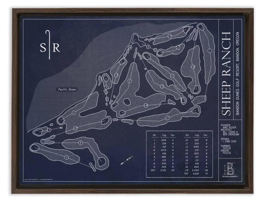 Ballpark Blueprint- Framed Canvas