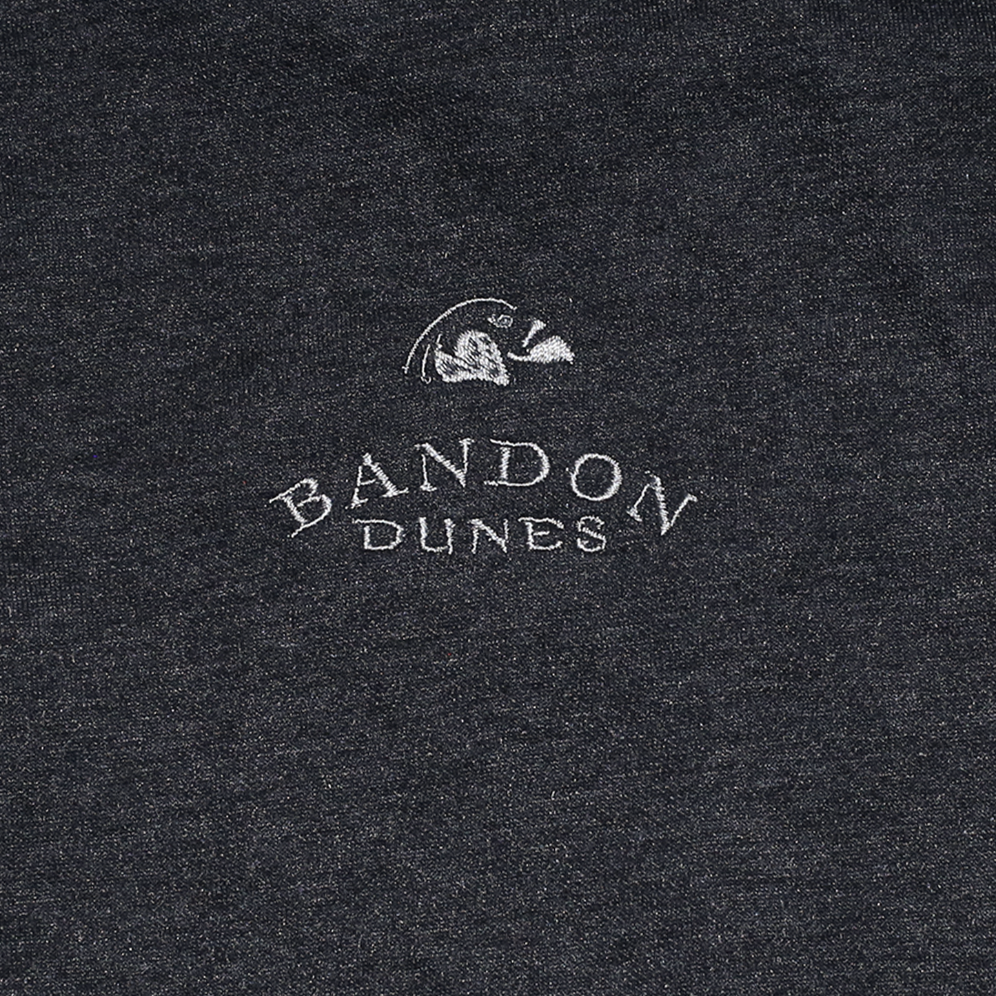 Upgraded Tech Hoodie - Bandon Dunes