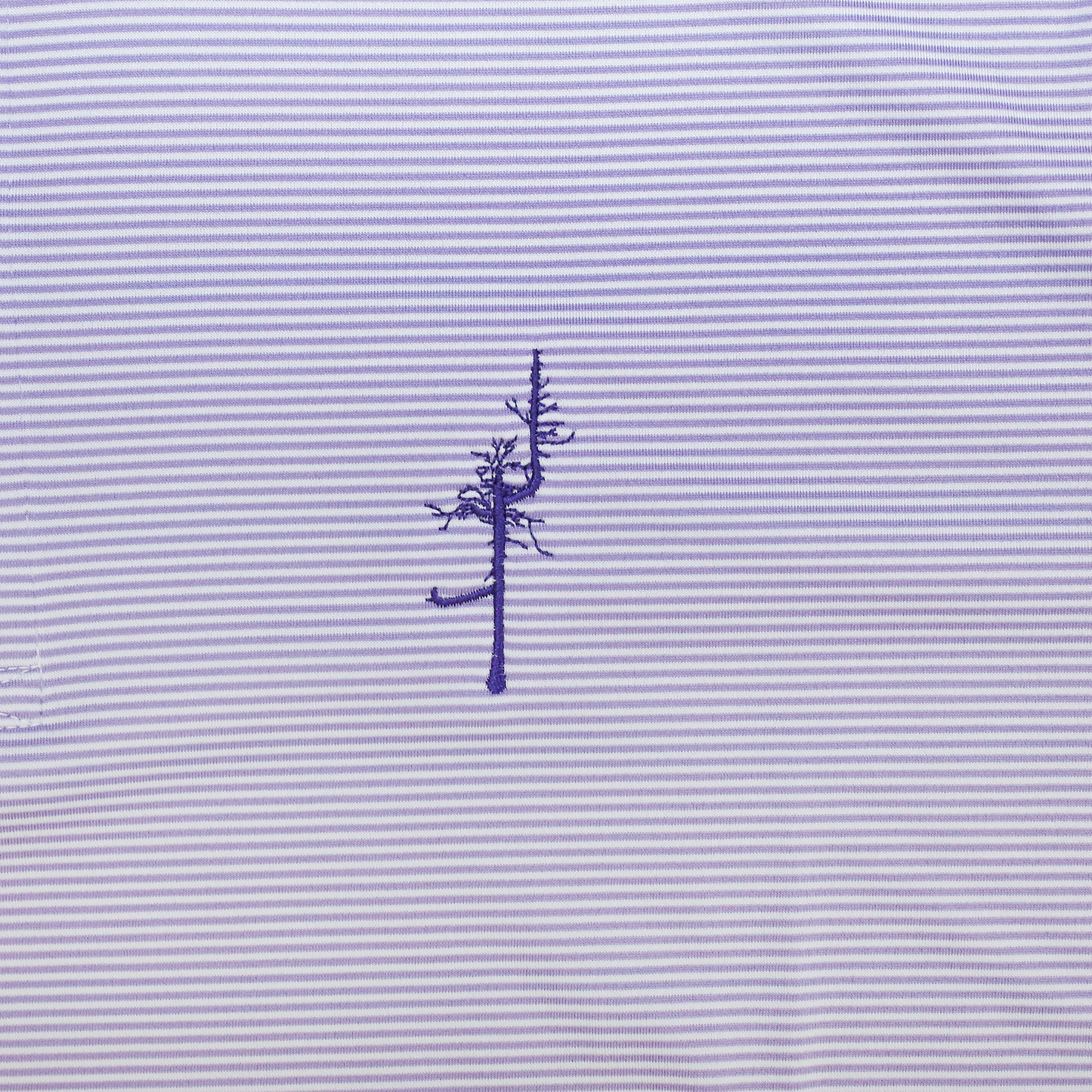 Perkins Polo - Ghost Tree