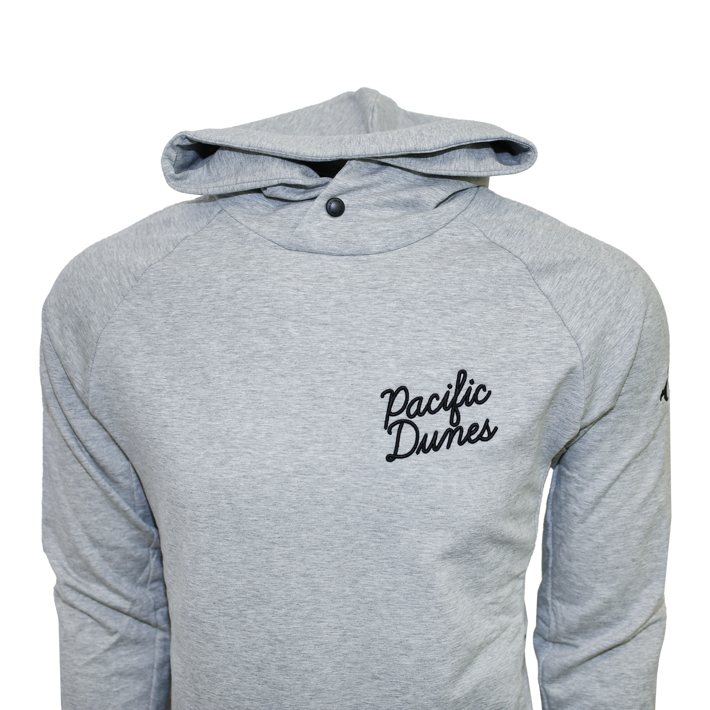 Future Staples Hoodie - Pacific Dunes