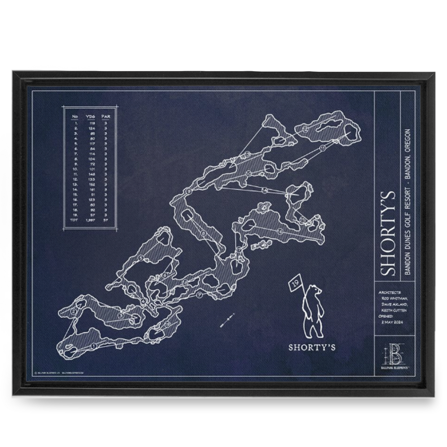 Ballpark Blueprint- Framed Canvas
