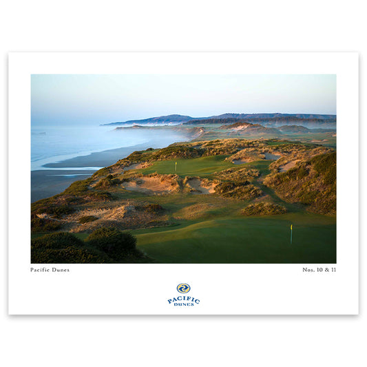 Pacific Dunes Poster